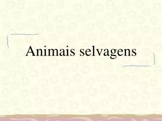 animais selvagens