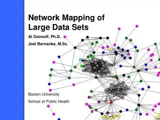 Network Mapping of Large Data Sets Al Ozonoff, Ph.D. Joel Bernanke, M.Sc. Boston University