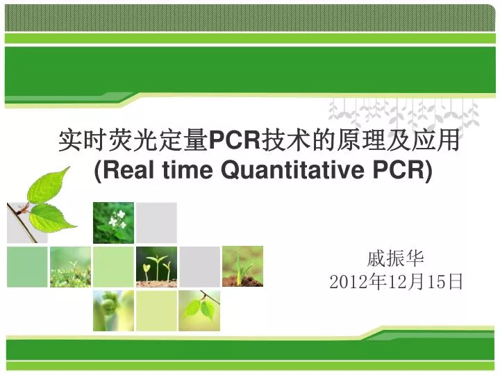 pcr real time quantitative pcr