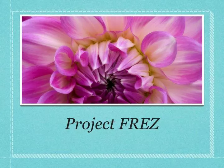 project frez