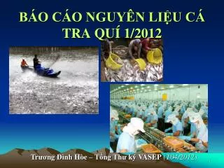 b o c o nguy n li u c tra qu 1 2012