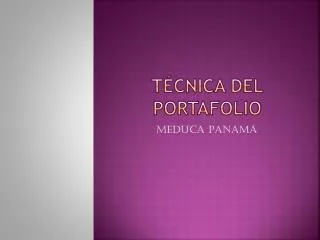 t cnica del portafolio