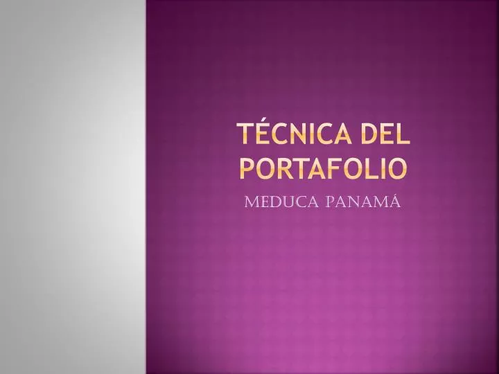 t cnica del portafolio