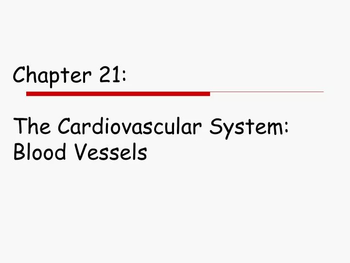 chapter 21 the cardiovascular system blood vessels