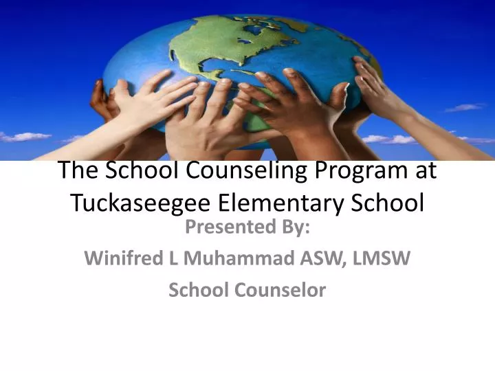 the school counseling program at tuckaseegee elementary school