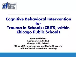 Cognitive Behavioral Intervention for Trauma in Schools (CBITS) within Chicago Public Schools