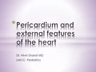 Pericardium and external features of the heart