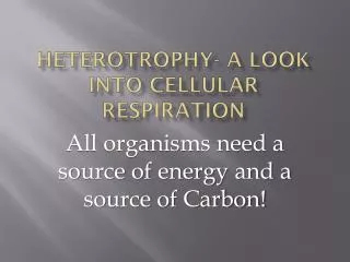 Heterotrophy- a look into Cellular Respiration