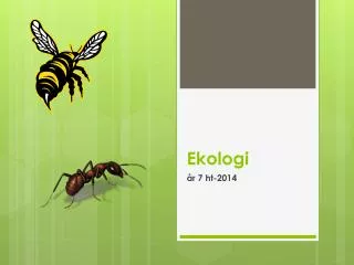 ekologi