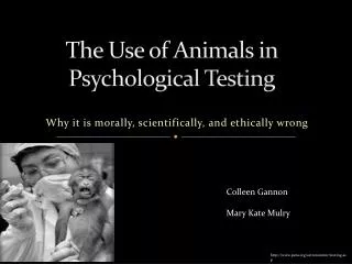 The Use of Animals in Psychological Testing