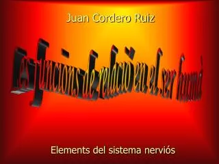 juan cordero ruiz
