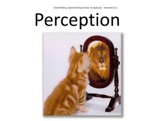 perception