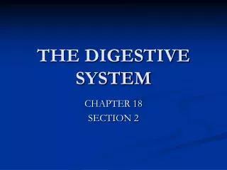the digestive system