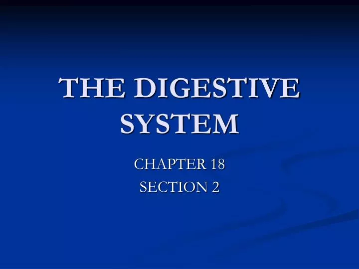 the digestive system