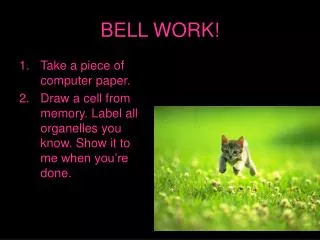 BELL WORK!