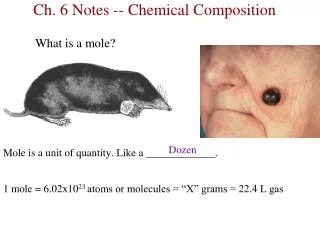 Ch. 6 Notes -- Chemical Composition 		What is a mole?