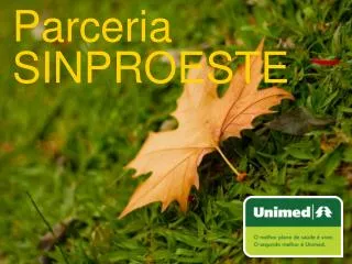 parceria sinproeste