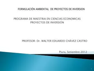 formulaci n ambiental de proyectos de inversion