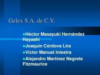 gelex s a de c v