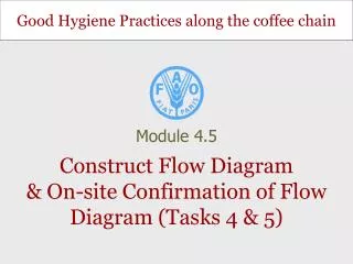 Construct Flow Diagram &amp; On-site Confirmation of Flow Diagram (Tasks 4 &amp; 5)