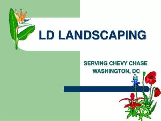 LD LANDSCAPING