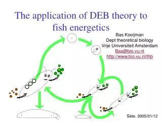 The application of DEB theory to fish energetics