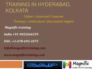 Sap Security Online Training in Hyderabad,Kolkata