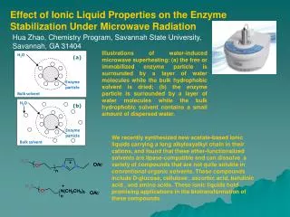 Effect of Ionic Liquid Properties on the Enzyme Stabilization Under Microwave Radiation