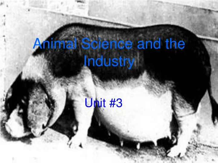 animal science and the industry