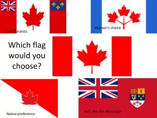 Which flag would you choose?