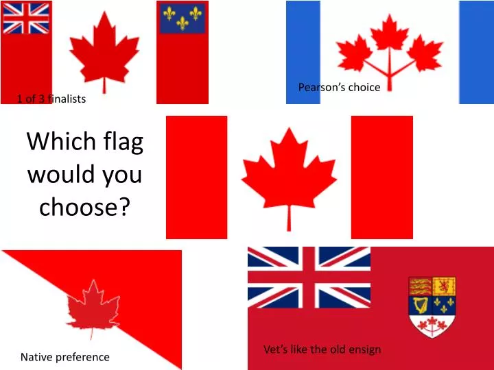 which flag would you choose
