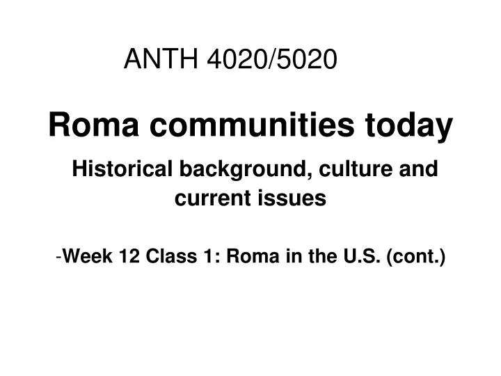 roma communities today historical background culture and current issues