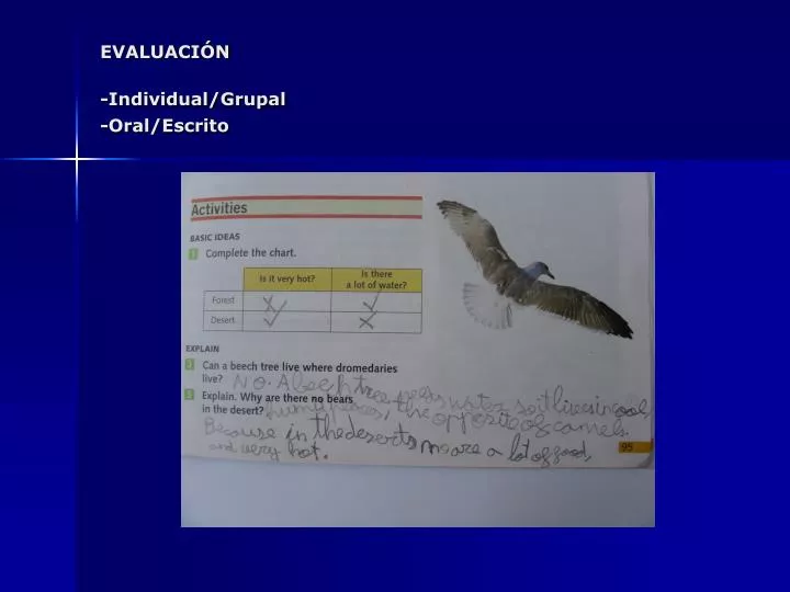 evaluaci n individual grupal oral escrito