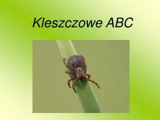 kleszczowe abc
