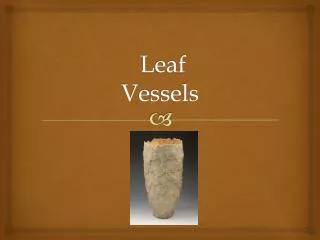 Leaf Vessels