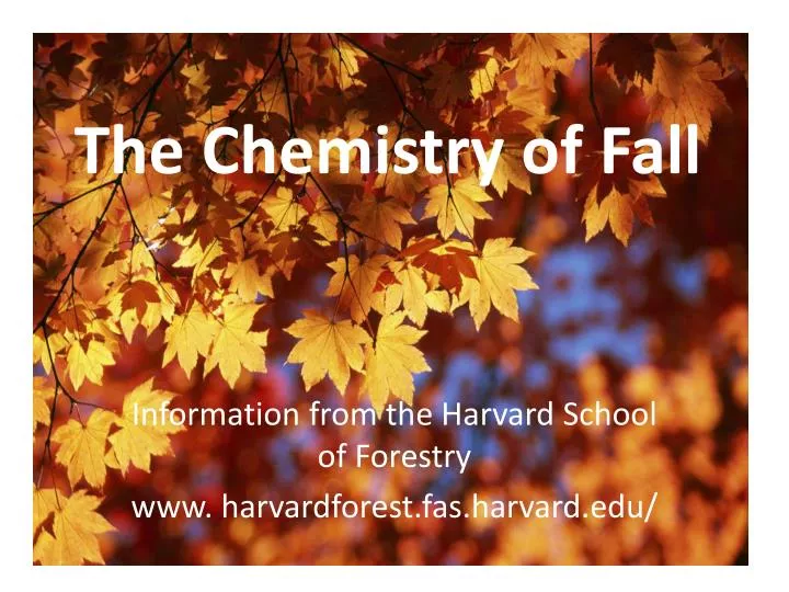 the chemistry of fall