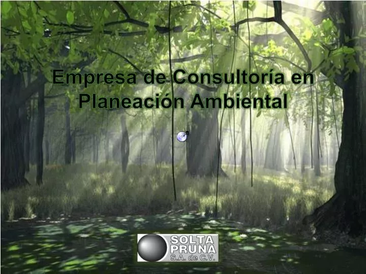 empresa de consultor a en planeaci n ambiental