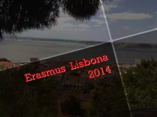 erasmus lisbona 2014