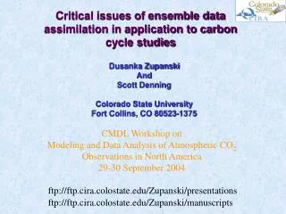 Critical issues of ensemble data assimilation in application to carbon cycle studies