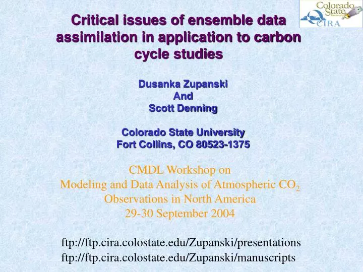 critical issues of ensemble data assimilation in application to carbon cycle studies