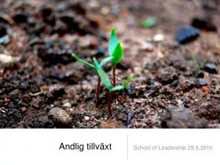 andlig tillv xt