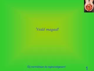 v dd magad