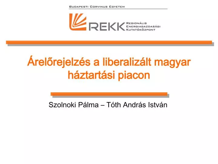 rel rejelz s a liberaliz lt magyar h ztart si piacon