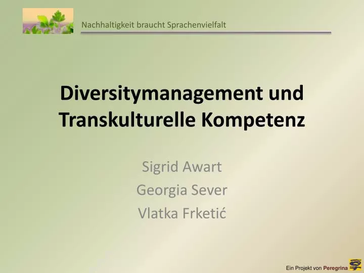 diversitymanagement und transkulturelle kompetenz