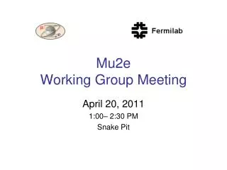 Mu2e Working Group Meeting