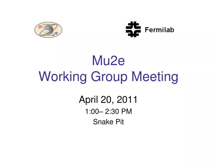 mu2e working group meeting