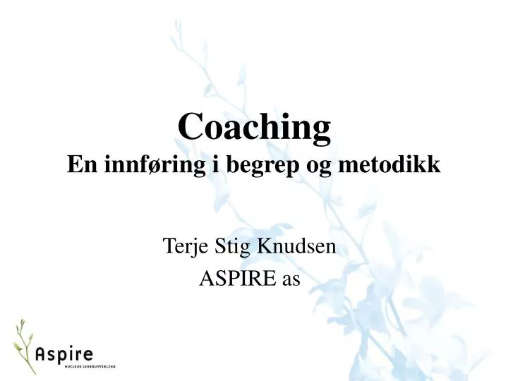 coaching en innf ring i begrep og metodikk