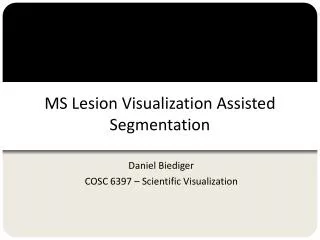 MS Lesion Visualization Assisted Segmentation