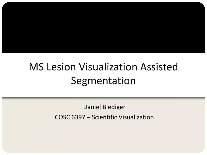 ms lesion visualization assisted segmentation