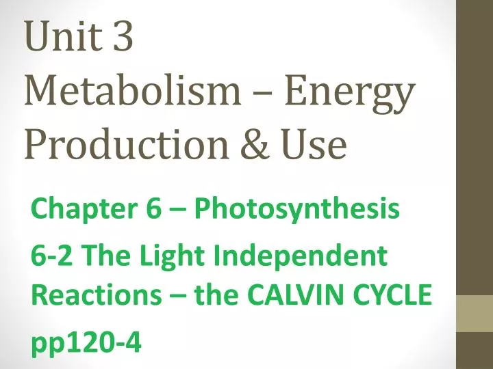 unit 3 metabolism energy production use